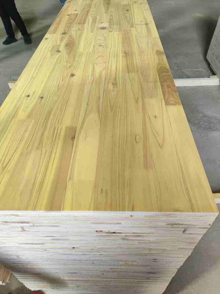 3 Ply Shuttering panel